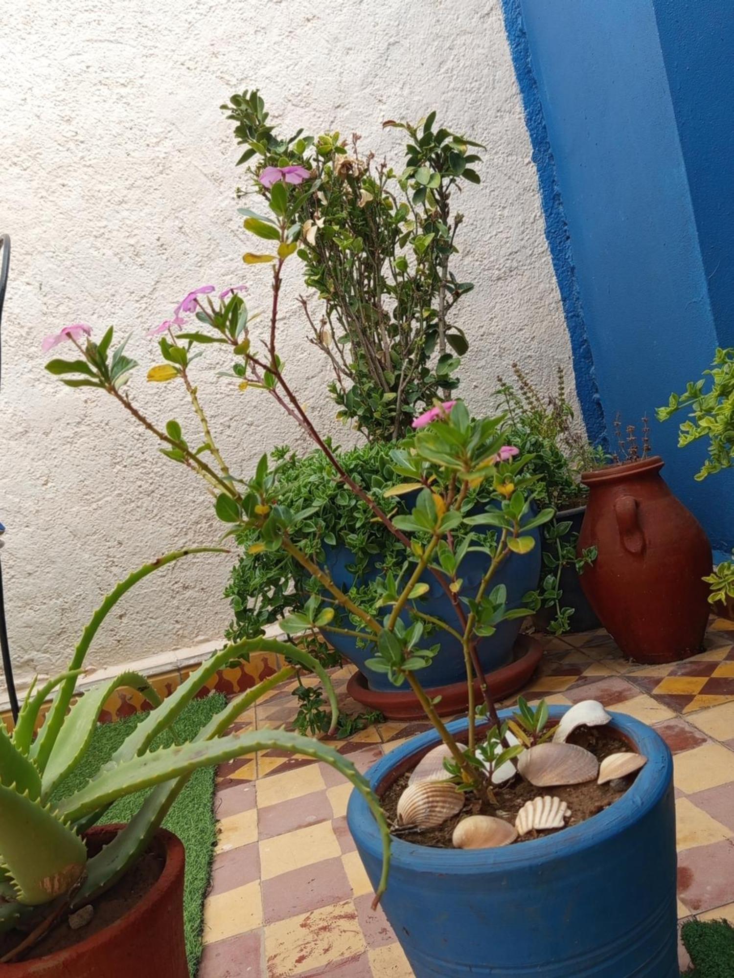 Riad Derb El Aarsa Marrakesh Exterior photo